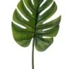 Groot Monstera Blad 1 Groot Monstera Blad -Groen Planten Shop emerald monstera blad