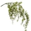 Eucalypthus Tak 2 Eucalypthus Tak -Groen Planten Shop eucalypthus tak kunst