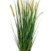 Grasplant Foxtail Wild -Groen Planten Shop gras met pluimen kunstplant