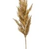Pampas Gras 2 Pampas Gras -Groen Planten Shop gras pluim kunsttak