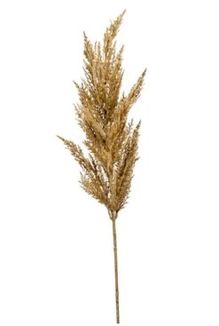 Pampas Gras