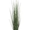 Grasplant Zebra Gracilis 2 Grasplant Zebra Gracilis -Groen Planten Shop grasplant nepplant siergras
