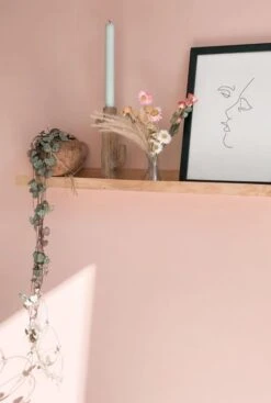 Kokodama Ceropegia Woodii - Chinees Lantaarnplantje 5 Kokodama Ceropegia Woodii - Chinees Lantaarnplantje -Groen Planten Shop kokodama plant