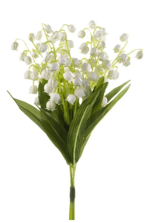 Lelietje Van Dalen 3 Lelietje Van Dalen