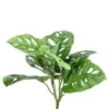 Monstera Monkey - Gatenplant 2 Monstera Monkey - Gatenplant -Groen Planten Shop monstera monkey kunstplant