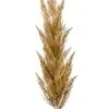 Pampas Gras Beige 1 Pampas Gras Beige -Groen Planten Shop pluim gras beige kunst tak
