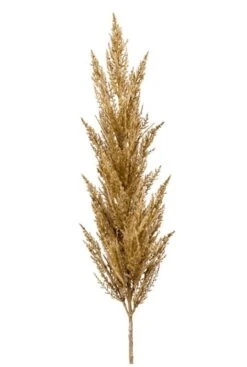 Pampas Gras Beige