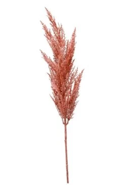 Pampas Grass Roze
