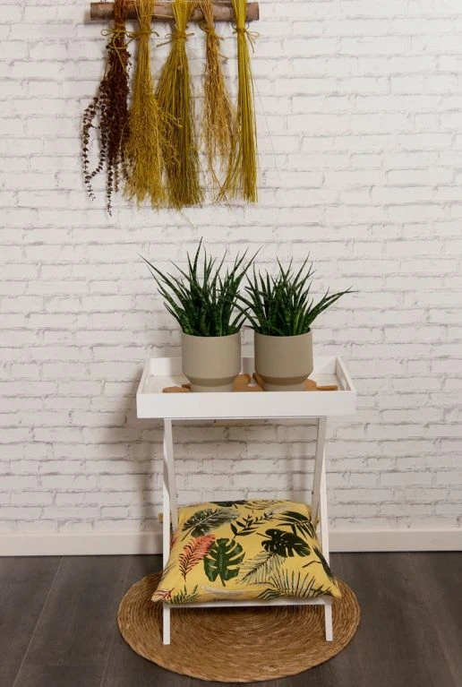 Sansevieria Fernwood Punk - Vrouwentong 4 Sansevieria Fernwood Punk - Vrouwentong - Afbeelding 2