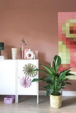 Spathiphyllum Sweet Silvana - Lepelplant -Groen Planten Shop spathiphyllum lepelplant witte bloem