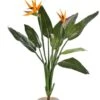 Strelitzia - Paradijsvogelbloem 2 Strelitzia - Paradijsvogelbloem -Groen Planten Shop strelitzia kunstplant met bloemen