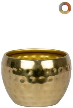 TS Collection Kody Pot - Goud